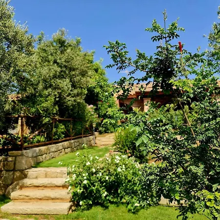 Laura, Fronte Piscina E Giardino Privato Villasimius